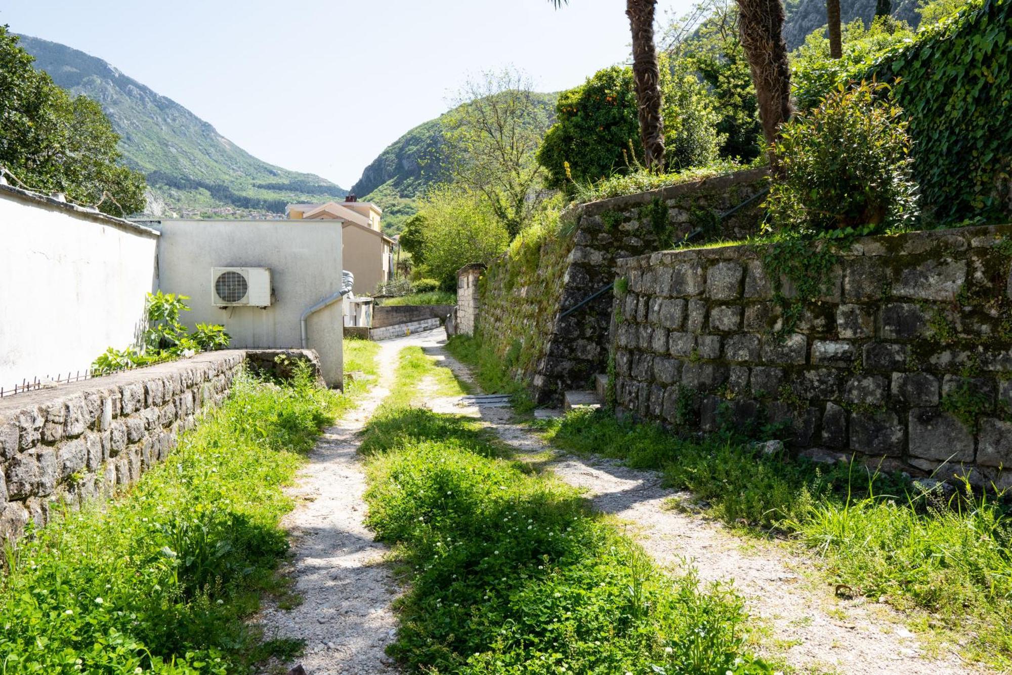 M&B Apartment Kotor Buitenkant foto